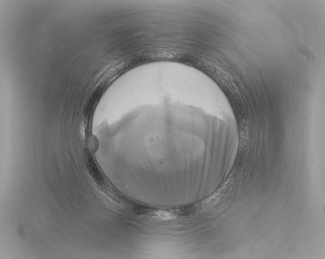 X0000116020166200912181157