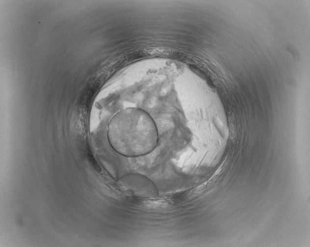 X0000116020175200912181157