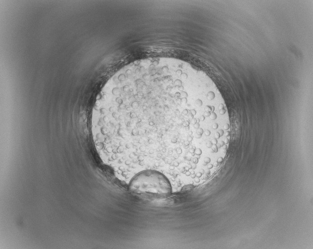 X0000116020187200912181157