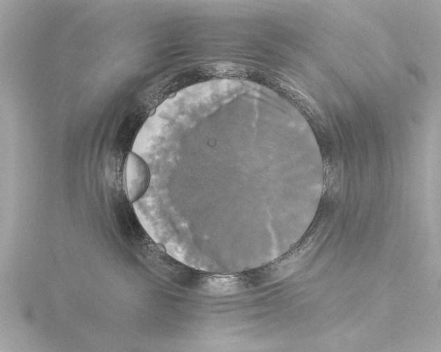 X0000116020189200912181157