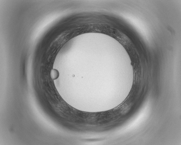 X0000116020191200912181157