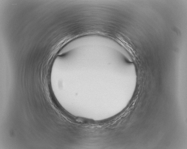 X0000116020193200912181156