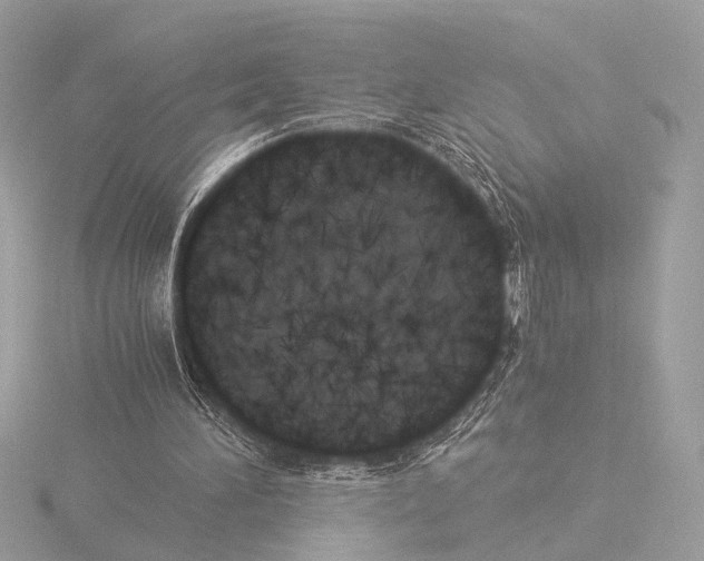 X0000116020196200912181156