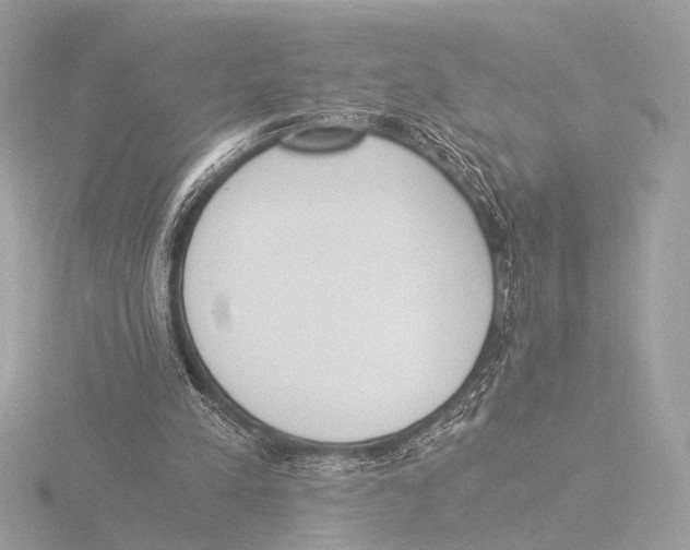 X0000116020197200912181156