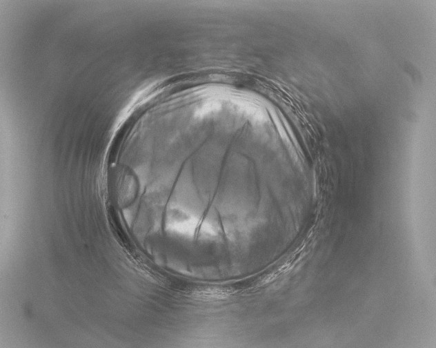 X0000116020198200912181156