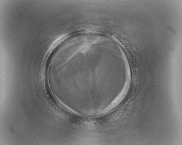 X0000116020199200912181156