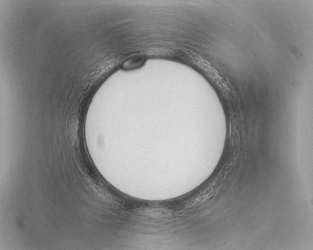 X0000116020201200912181156