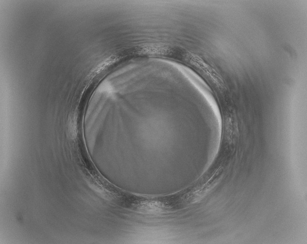 X0000116020203200912181156