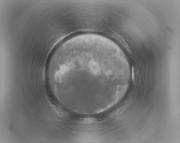 X0000116020204200912181156