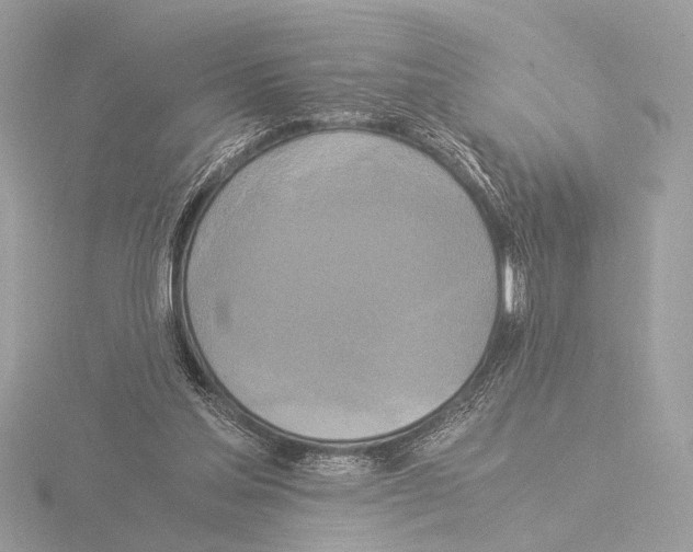 X0000116020205200912181156