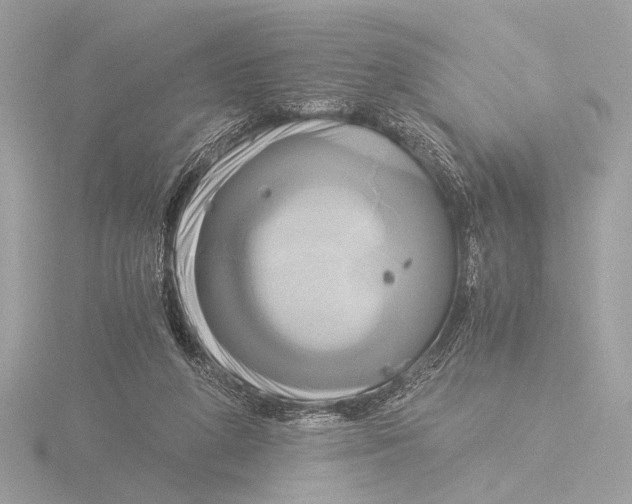 X0000116020210200912181156