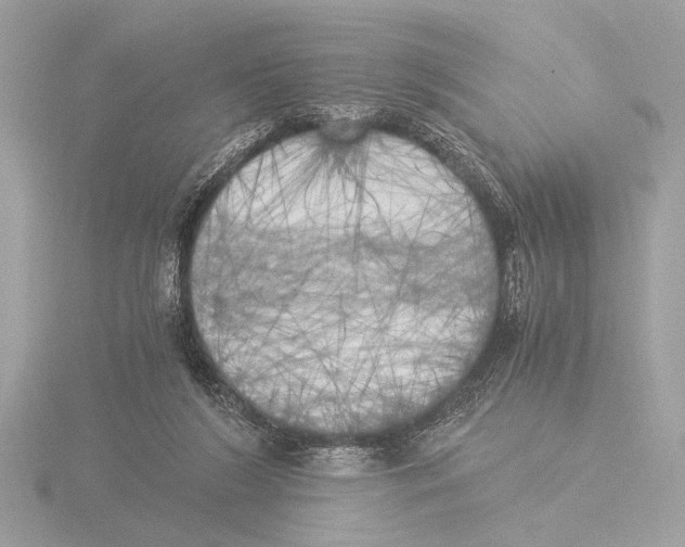 X0000116020212200912181156