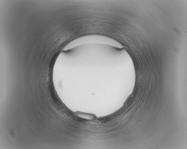 X0000116020215200912181156