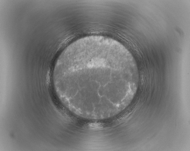 X0000116020216200912181156