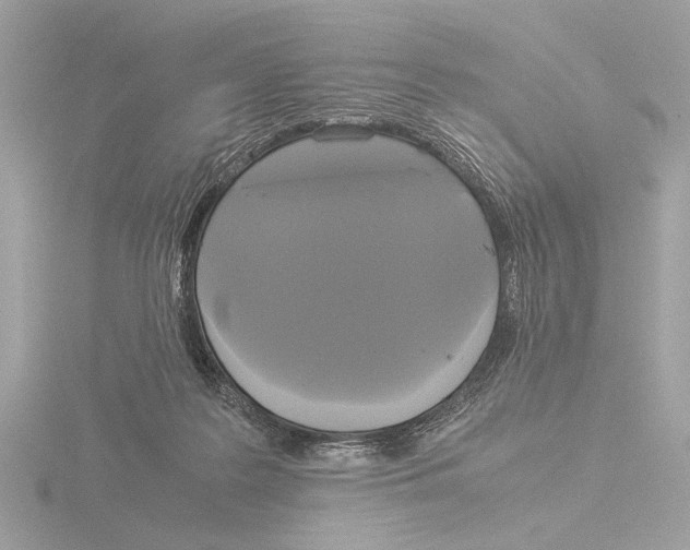 X0000116020219200912181156