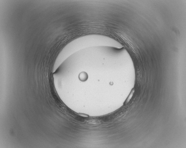 X0000116020221200912181156