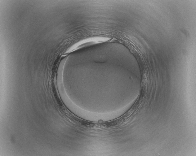 X0000116020223200912181156