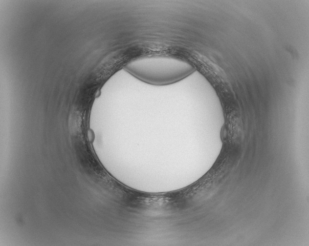 X0000116020225200912181156