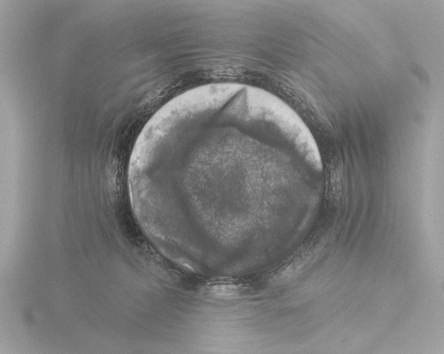 X0000116020228200912181156