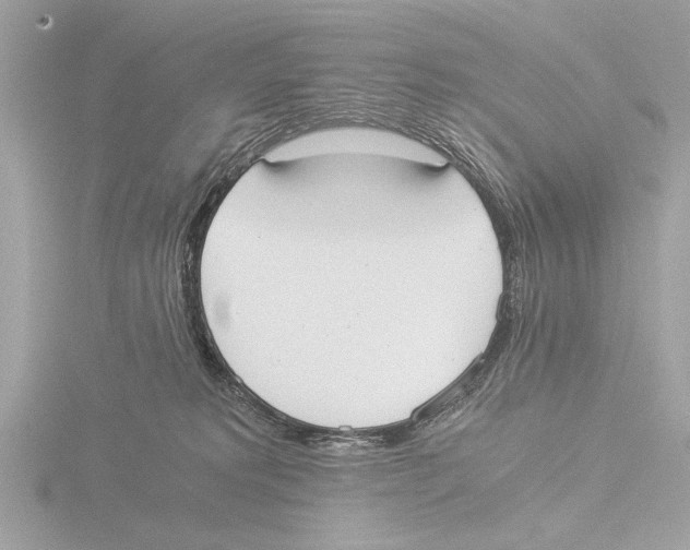 X0000116020229200912181156