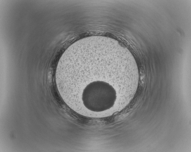 X0000116020231200912181156