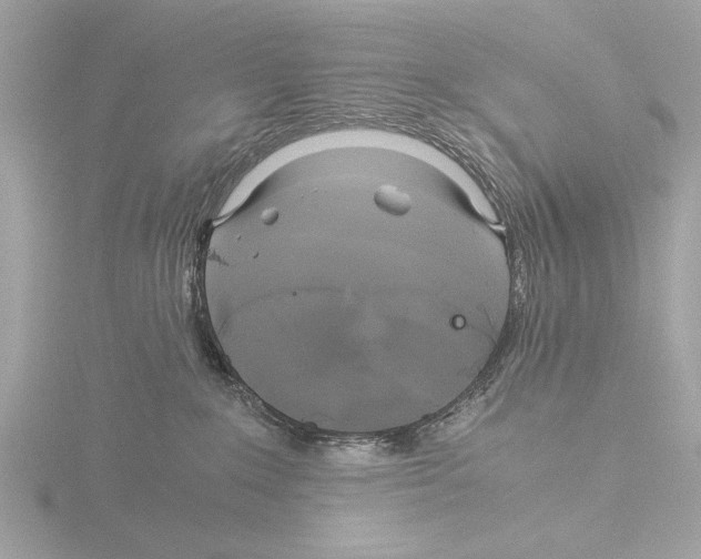 X0000116020235200912181156