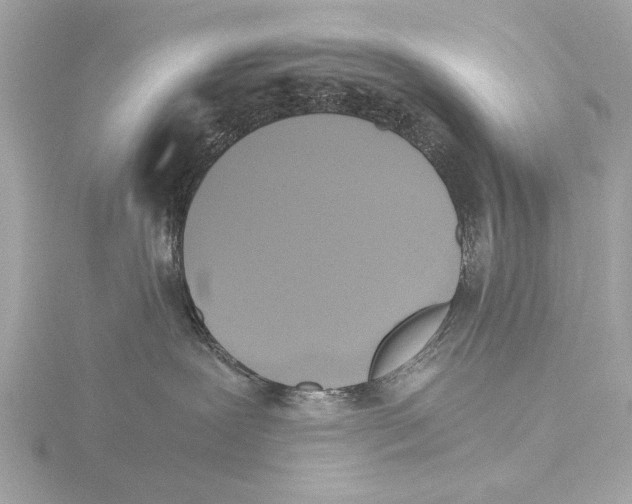 X0000116020239200912181156