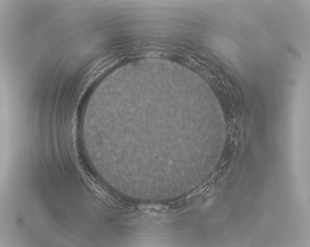 X0000116020242200912181155