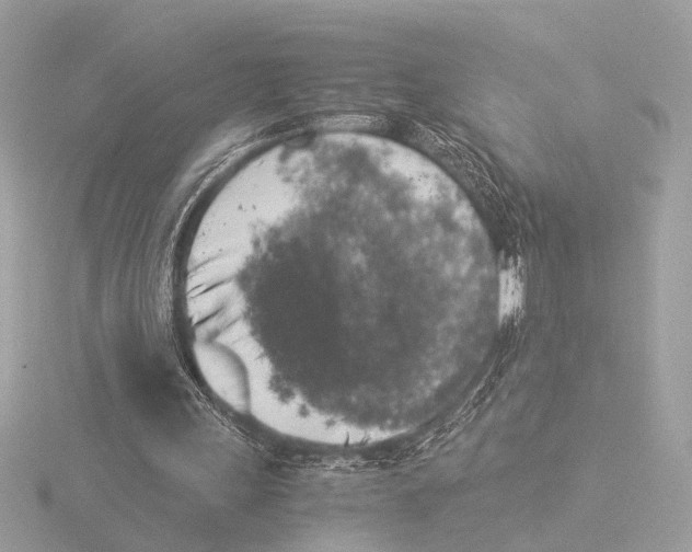 X0000116020243200912181155