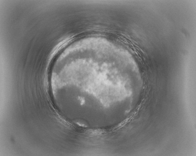 X0000116020245200912181155