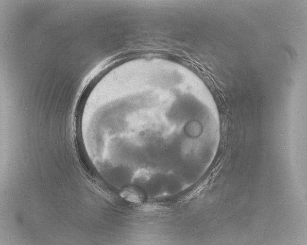 X0000116020246200912181155