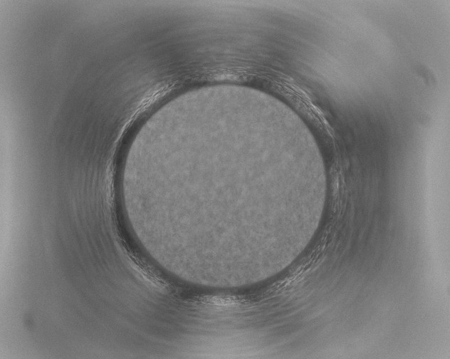 X0000116020250200912181155