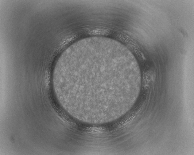 X0000116020255200912181155