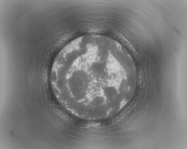 X0000116020257200912181155