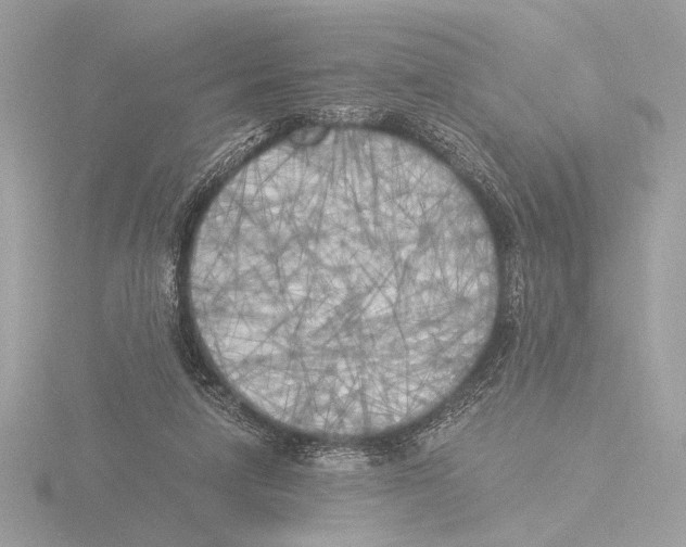 X0000116020258200912181155