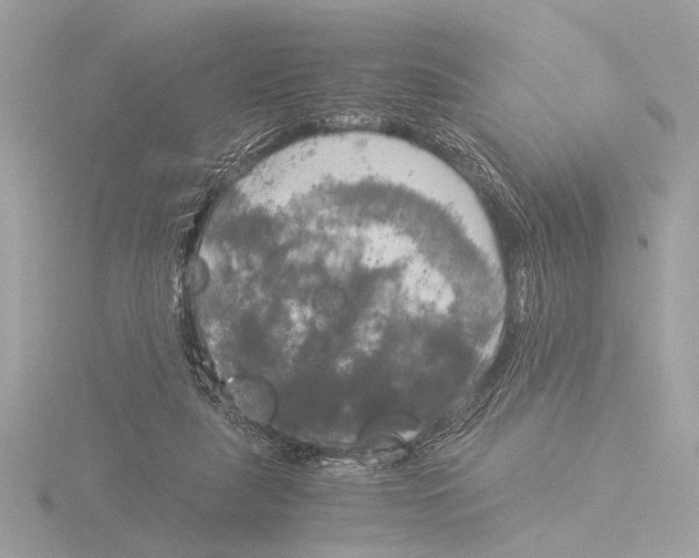 X0000116020259200912181155