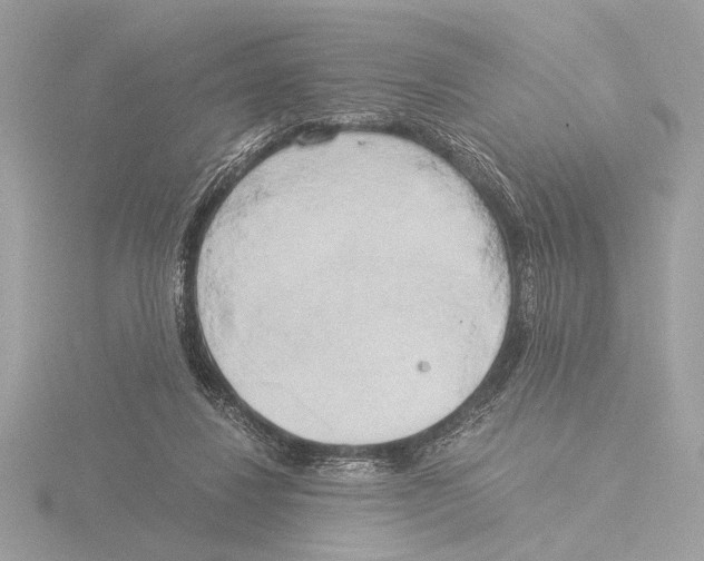 X0000116020260200912181155