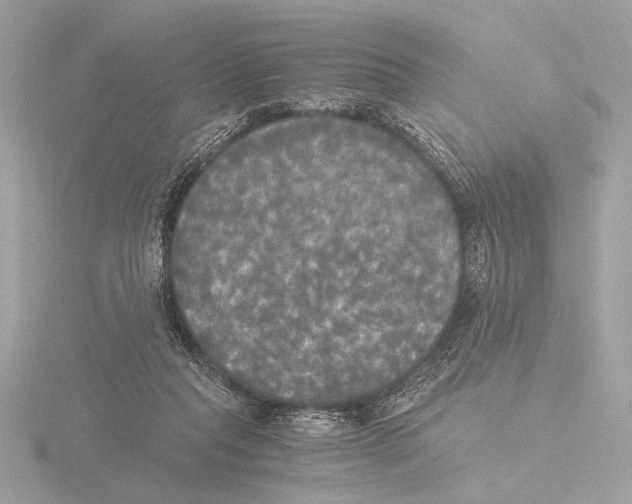 X0000116020261200912181155