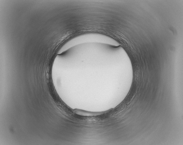 X0000116020264200912181155