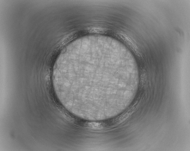 X0000116020265200912181155