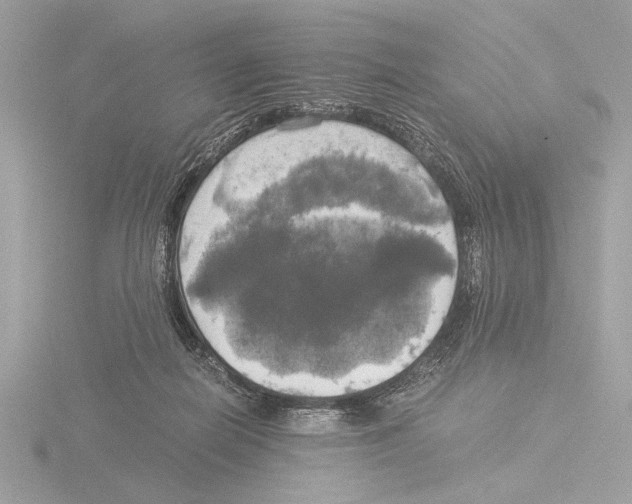 X0000116020266200912181155