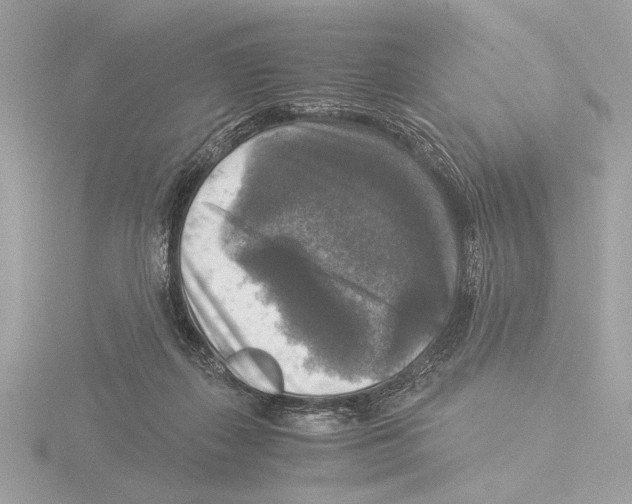 X0000116020267200912181155