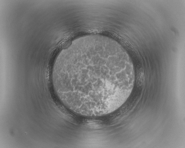 X0000116020268200912181155