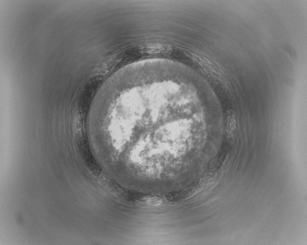 X0000116020272200912181155