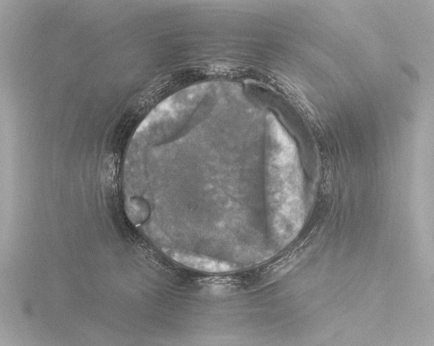 X0000116020273200912181155