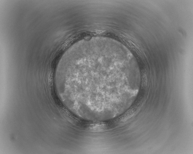 X0000116020274200912181155