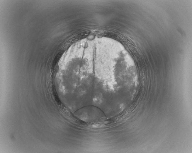 X0000116020275200912181155