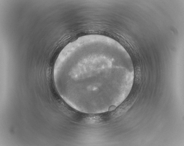 X0000116020278200912181155