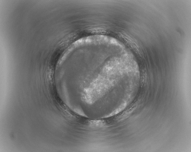 X0000116020281200912181156