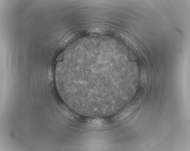 X0000116020282200912181156